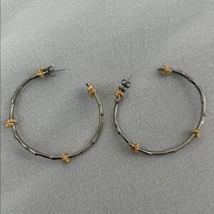 Elegant Gold and Silver Hoop Earrings